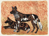 Painted Dogs